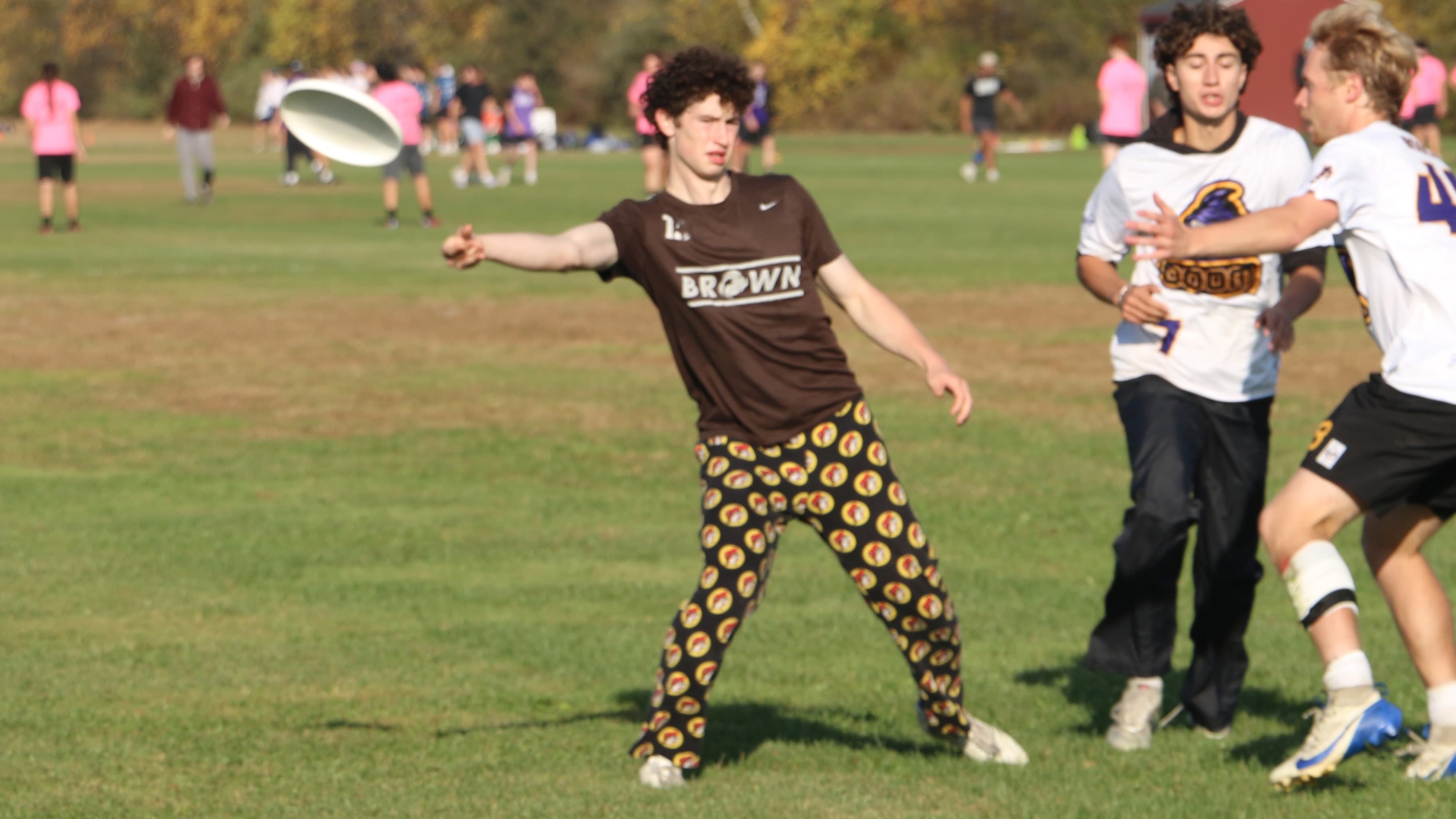 Picture of Jason Tapper